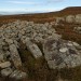 <b>Blawearie Cairn</b>Posted by thesweetcheat