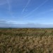 <b>Roundway Hill</b>Posted by thesweetcheat
