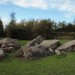 <b>The Countless Stones</b>Posted by postman