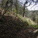 <b>Woodbury Hill (Great Witley)</b>Posted by thesweetcheat