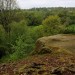 <b>High Rocks Hill Fort</b>Posted by GLADMAN