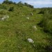 <b>Tolborough Tor Stone Row</b>Posted by thesweetcheat