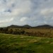 <b>Eildon Hills</b>Posted by thesweetcheat