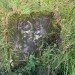<b>St Mirren's Well</b>Posted by markj99