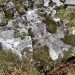 <b>Balmalloch Chambered Cairn</b>Posted by markj99
