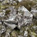 <b>Balmalloch Chambered Cairn</b>Posted by markj99