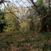 <b>West Wood</b>Posted by GLADMAN