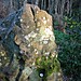 <b>Rempstone Stone Circle</b>Posted by goffik