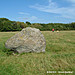 <b>Trefwri Standing Stone (West)</b>Posted by Kammer