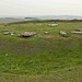 <b>Arbor Low</b>Posted by juggs