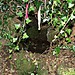 <b>Alsia Holy Well</b>Posted by ocifant