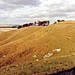 <b>Cherhill Down and Oldbury</b>Posted by Earthstepper