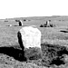 <b>Trippet Stones</b>Posted by pure joy