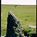 <b>Ringmoor Cairn Circle and Stone Row</b>Posted by greywether