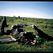 <b>Stalldown Stone Row</b>Posted by greywether