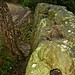 <b>White Horse Stone</b>Posted by Jane