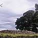 <b>Dunchraigaig Cairn</b>Posted by greywether