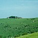 <b>Devil's Dyke (West Sussex)</b>Posted by Cursuswalker