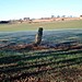 <b>Denmarkfield / King's Stone</b>Posted by nickbrand