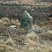 <b>Anglezarke Moor Standing Stone</b>Posted by Rivington Pike