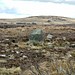 <b>Anglezarke Moor Standing Stone</b>Posted by Rivington Pike