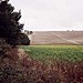 <b>The Dorset Cursus</b>Posted by juamei