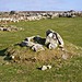 <b>Bosporthennis Quoit</b>Posted by Jane