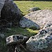 <b>Bosporthennis Quoit</b>Posted by Moth