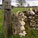 <b>Lidstone Standing Stones</b>Posted by Jane