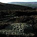 <b>Backstone Beck Enclosure</b>Posted by greywether