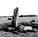 <b>Colvannick Tor Stone Row</b>Posted by pure joy