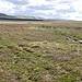 <b>Sowburn Rig Small Cairn Cemetery</b>Posted by Martin