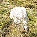 <b>Thimbleby Moor Nine Stones</b>Posted by fitzcoraldo