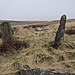 <b>Doddington Stone Circle</b>Posted by awrc