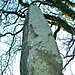 <b>Llanbedr Stones</b>Posted by Kammer