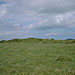 <b>Corringdon Ball Long Barrow</b>Posted by dude from bude