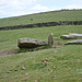 <b>Corringdon Ball Long Barrow</b>Posted by dude from bude