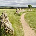 <b>The Rollright Stones</b>Posted by pebblesfromheaven