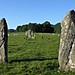 <b>The Great X of Kilmartin</b>Posted by greywether
