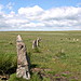 <b>Ringmoor Cairn Circle and Stone Row</b>Posted by pure joy
