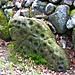 <b>Clava Cairns</b>Posted by Jane