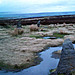<b>The Twelve Apostles of Ilkley Moor</b>Posted by IronMan