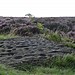 <b>Backstone Beck West</b>Posted by notjamesbond