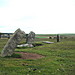 <b>Trippet Stones</b>Posted by moey