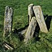 <b>Newton Farm Burial Chamber</b>Posted by greywether