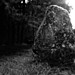 <b>Waterhead Standing Stones</b>Posted by tumulus