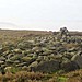 <b>Raven Tor Triple Cairn</b>Posted by fitzcoraldo