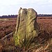 <b>Gibbet Moor Standing Stones</b>Posted by fitzcoraldo
