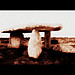 <b>Lanyon Quoit</b>Posted by suave harv