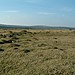 <b>East Moor Ring Cairn</b>Posted by Mr Hamhead